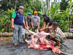 Lewat Berkurban Warga Jalan Waringin Jaga Silaturahmi