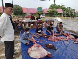 Daging Kurban Diharapkan Meningkatkan Imun Tubuh