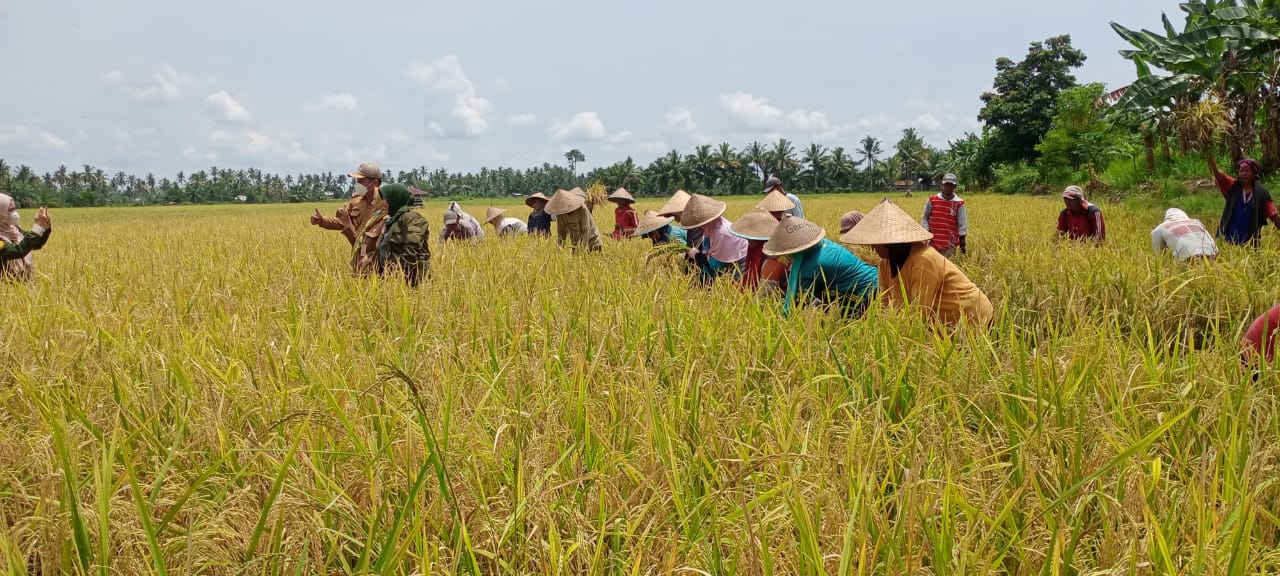 Kadis Pertanian : Jangan Hanya Pedagang yang Untung, Petani Layak Dapat Tempat