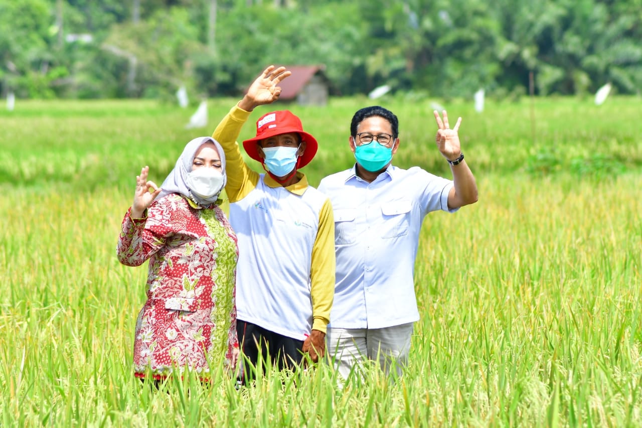 Manajemen Petani di Mura Terbaik