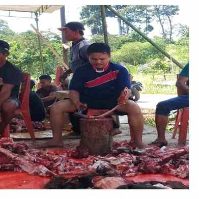 Perdana, Musholla Miftahul Huda Qurban tiga Sapi dan satu Kambing