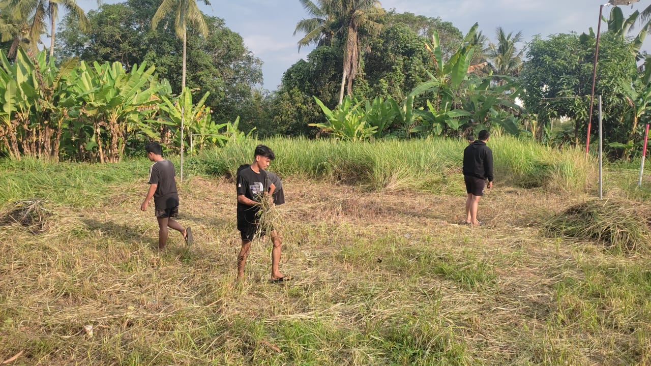Karang Taruna Kelurahan Senalang Gotong Royong Bersih Lapangan Olahraga